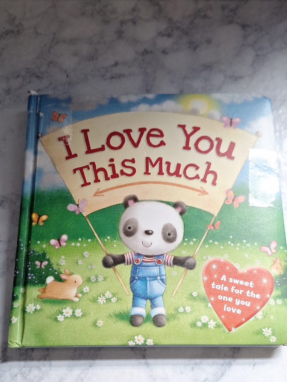I Love You This Much - Cute Panda Kids Board Book (Green)